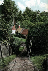 Leighton Hollow about 1900 Z143-5